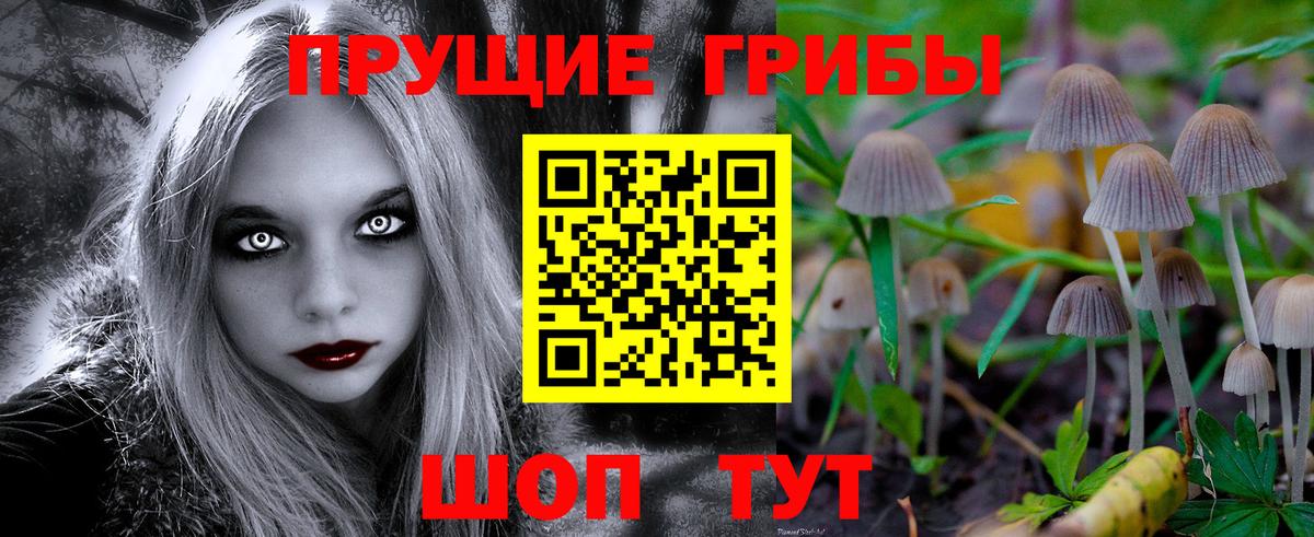 Тверь  Псилоцибиновые грибы Psilocybine cubensis  Вход с VPN 